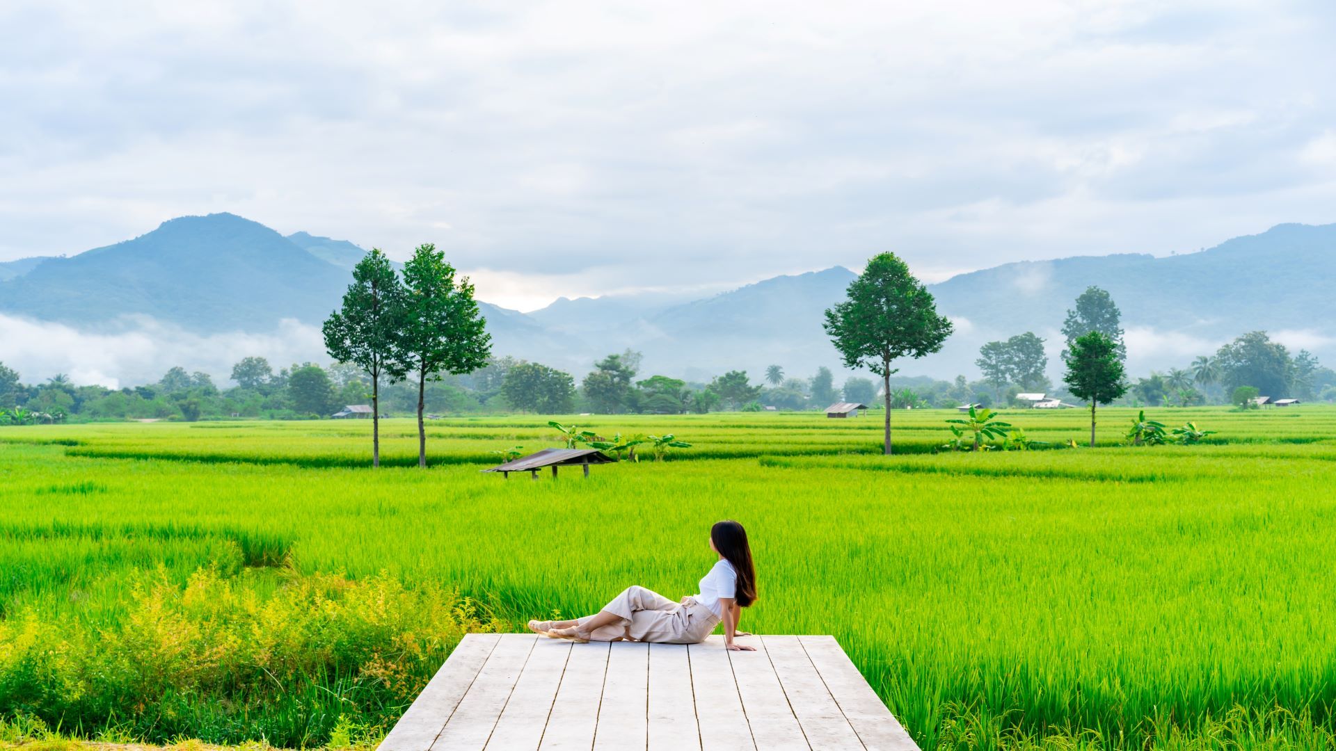 Kết nối với thiên nhiên, cơ thể sẽ biết cách phục hồi